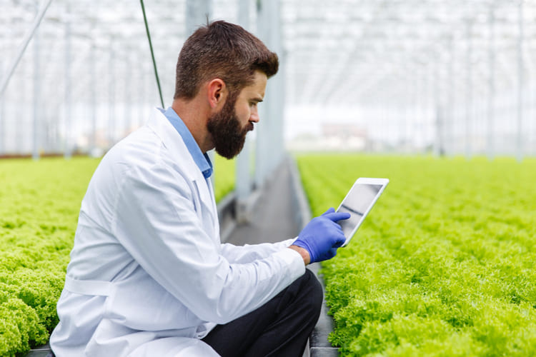 bearded-male-researcher-studies-plants-with-tablet-standing-greenhouse-2-2